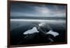 Jokulsarlon, Iceland, Polar Regions-Bill Ward-Framed Premium Photographic Print