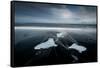 Jokulsarlon, Iceland, Polar Regions-Bill Ward-Framed Stretched Canvas