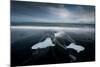 Jokulsarlon, Iceland, Polar Regions-Bill Ward-Mounted Photographic Print