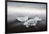 Jokulsarlon, Iceland, Polar Regions-Bill Ward-Framed Photographic Print