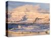 Jokulsarlon with Glacier Breidamerjokull, Vatnajokull NP. Iceland-Martin Zwick-Stretched Canvas