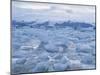 Jokulslarlon Glacial Lagoon, Vatnajokull Icecap, South Area, Iceland, Polar Regions-Simon Harris-Mounted Photographic Print