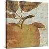 Joli Fruit I-Philippa-Stretched Canvas