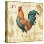 Joli Rooster II-Lisa Audit-Stretched Canvas