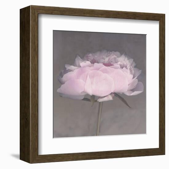 Jolie-Erin Clark-Framed Giclee Print