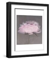 Jolie-Erin Clark-Framed Art Print