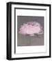 Jolie-Erin Clark-Framed Art Print