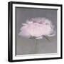 Jolie-Erin Clark-Framed Photographic Print