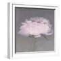 Jolie-Erin Clark-Framed Photographic Print