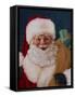Jolly Saint Nick with Starry Night-Walt Johnson-Framed Stretched Canvas