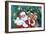 Jolly Santa-Kathleen Parr McKenna-Framed Art Print