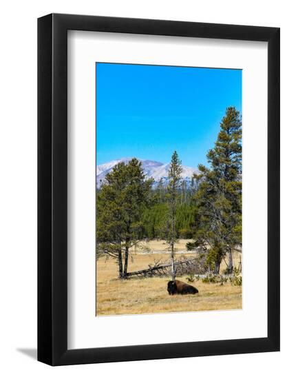 Premium Photographic Print, , large