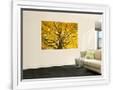 Gramercy White