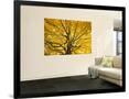 Gramercy Black