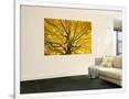 Gramercy White