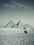 Camel and Giza Pyramids, Giza, Cairo, Egypt-Jon Arnold-Photographic Print