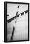 Essential Black