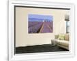 Gramercy White
