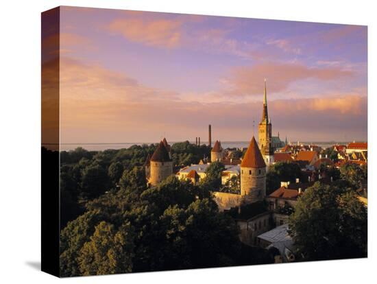 Stretched Canvas Print, , large