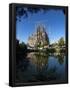 Essential Black