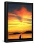 Essential Black
