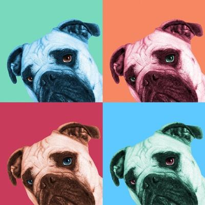 Photographic Print, , large