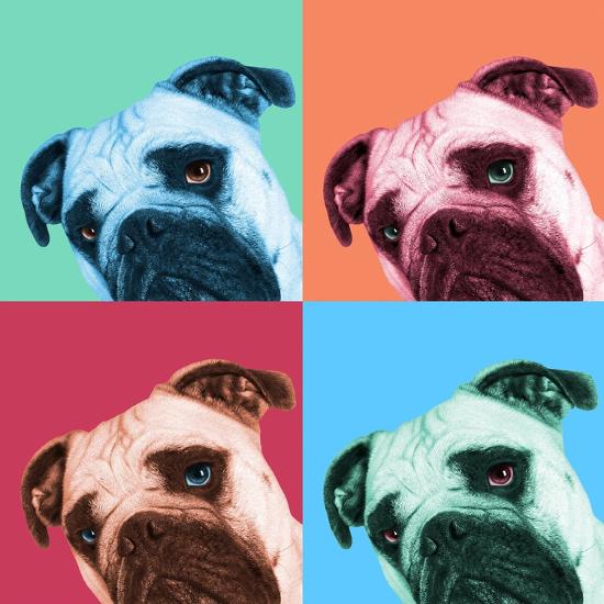 Photographic Print, , large