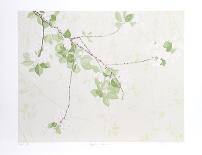Apple Blossoms-Jon D'Orazio-Framed Collectable Print