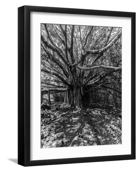 Photo, , large