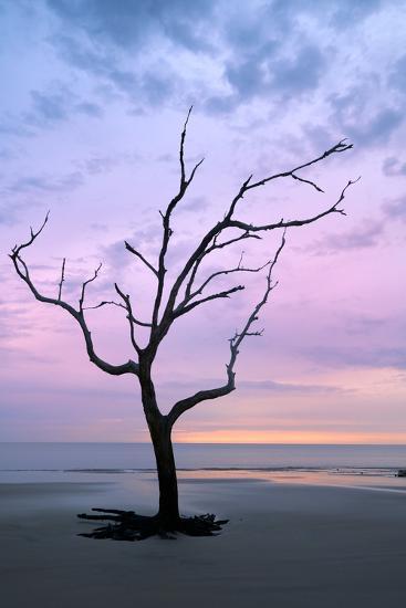 Photo, , large