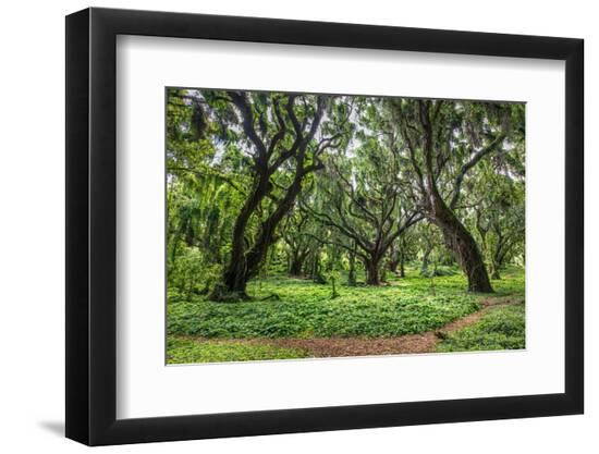 Photo, , large