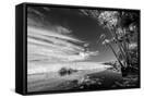 Canvas Black