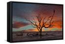Canvas Black