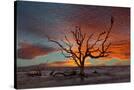 Stretched Canvas