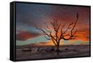 Canvas Black