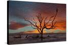Stretched Canvas