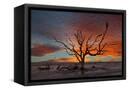 Canvas Black