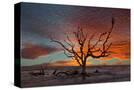 Stretched Canvas