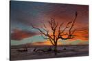 Stretched Canvas