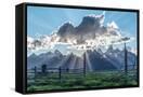 Canvas Black