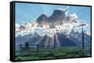 Canvas Black