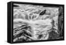 Canvas Black