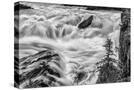 Stretched Canvas