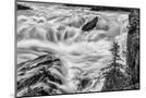 Wood Mount