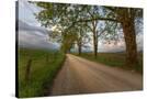 Stretched Canvas