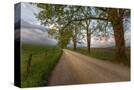 Stretched Canvas
