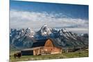 Wood Mount