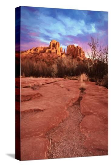 Stretched Canvas Print, , large