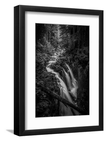 Photo, , large