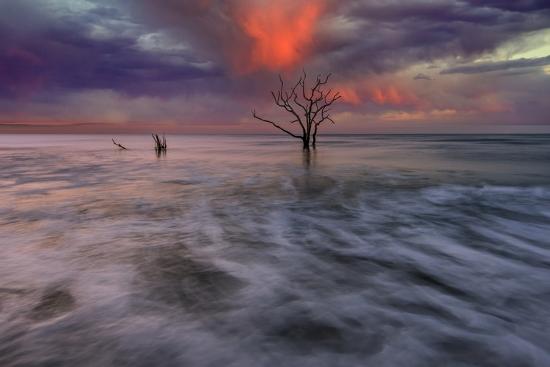 Photo, , large